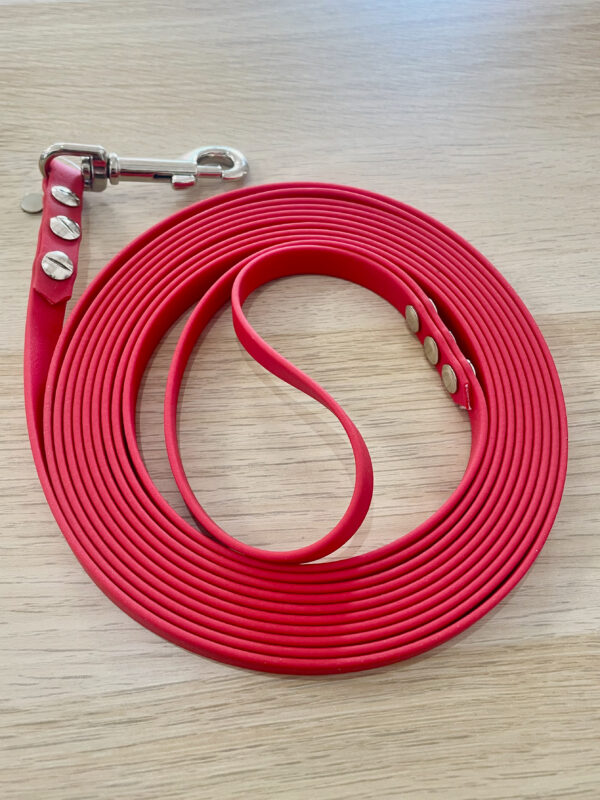 Leine Biothane 12mm